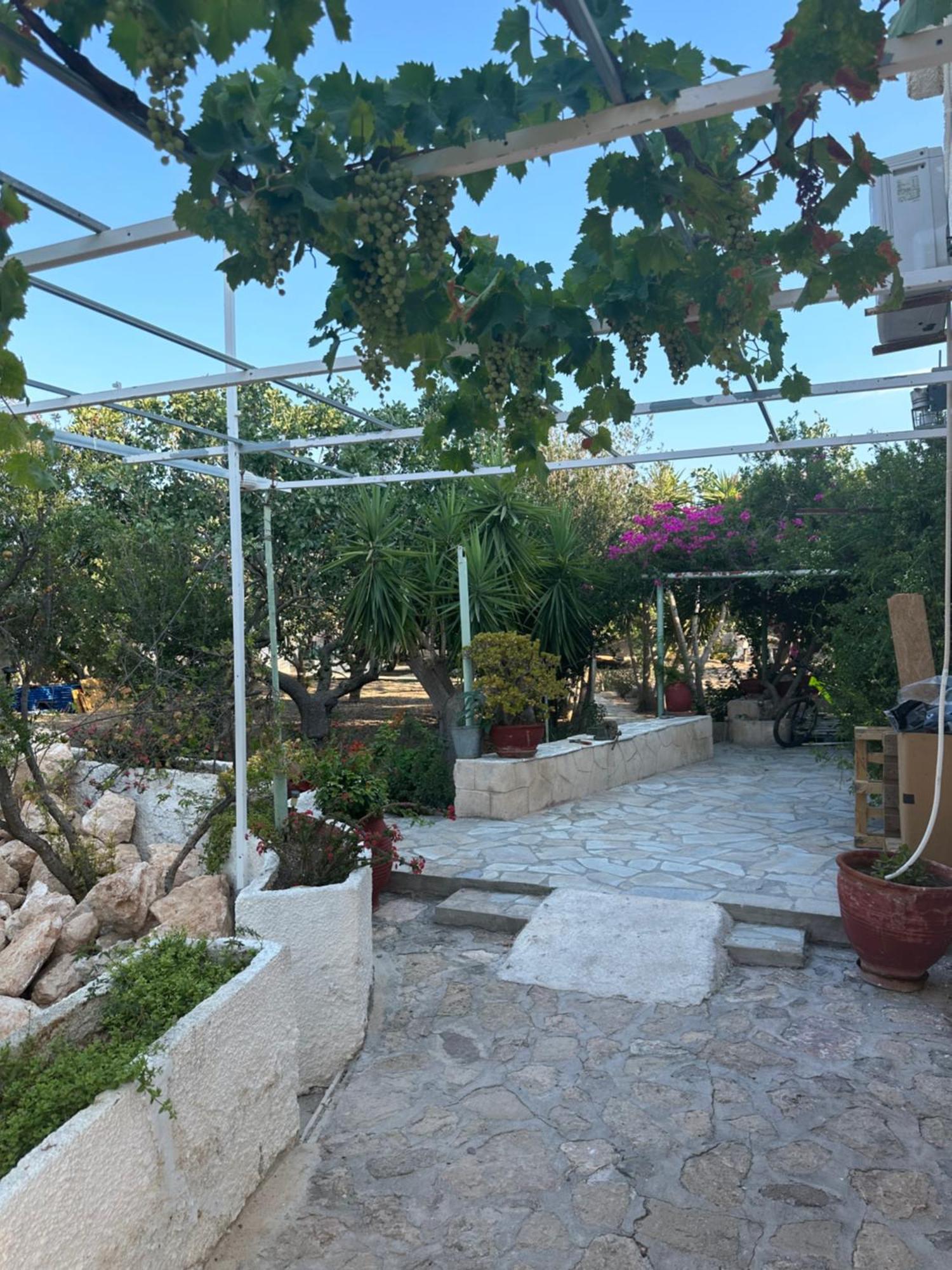 Solmar Aegina With Private Pool - Jacuzzi Apartment Khloi Екстериор снимка