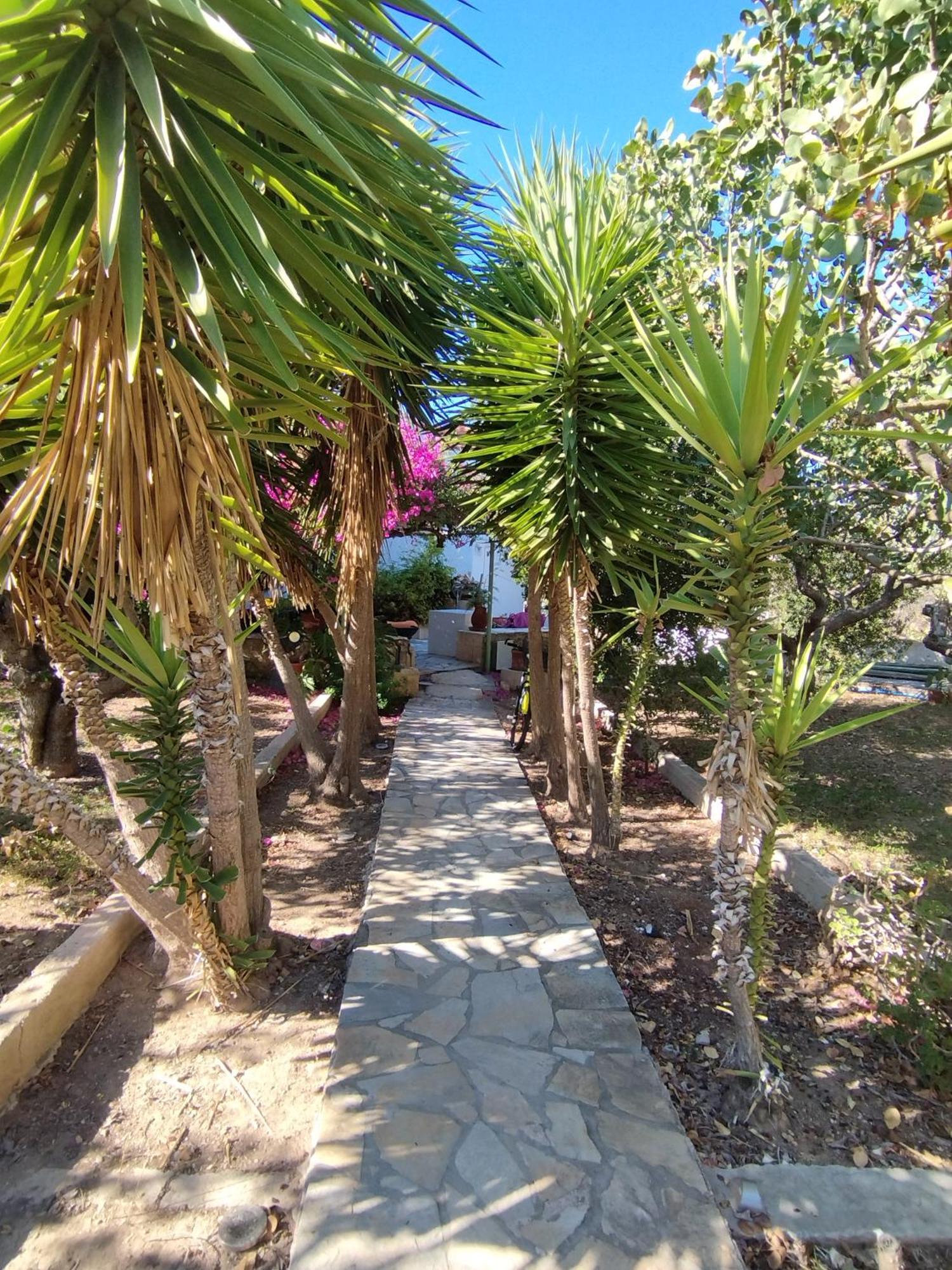 Solmar Aegina With Private Pool - Jacuzzi Apartment Khloi Екстериор снимка